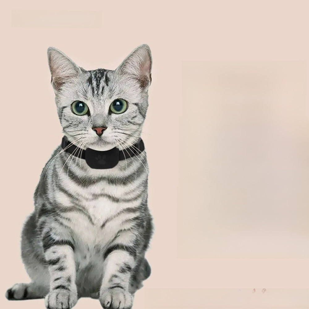 The Drift Pet Tracker