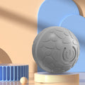 The Smart Bouncing Ball