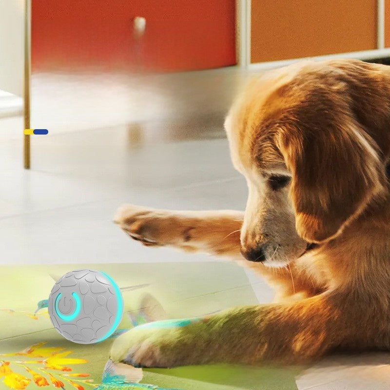 The Smart Bouncing Ball