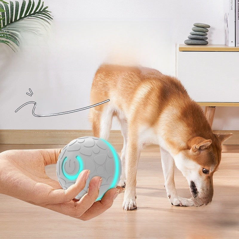 The Smart Bouncing Ball