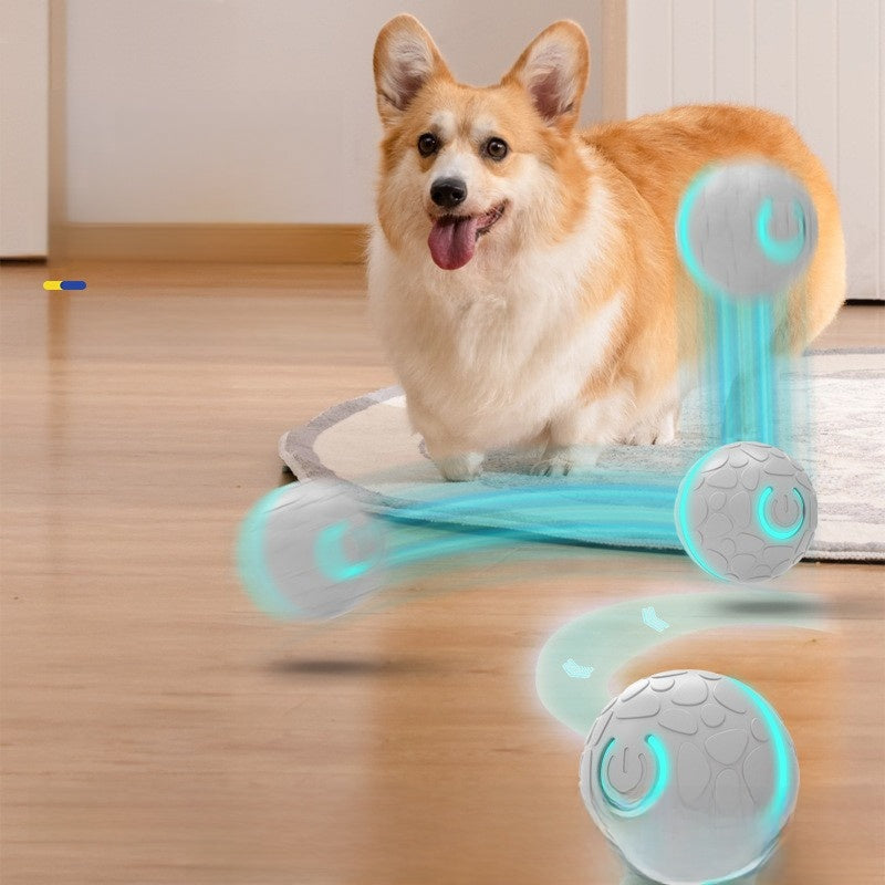 The Smart Bouncing Ball